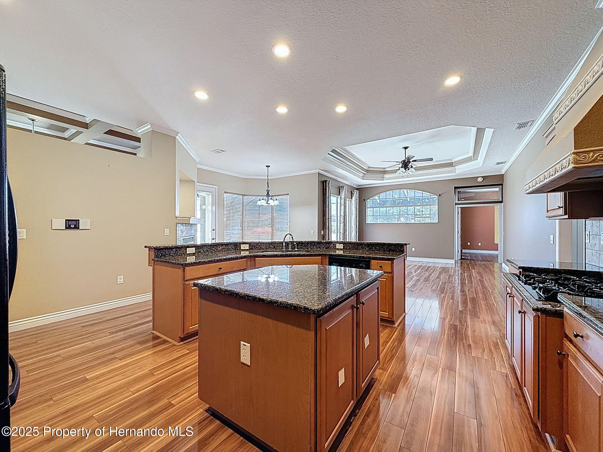3464 Misty View Drive, Spring Hill, Florida image 14