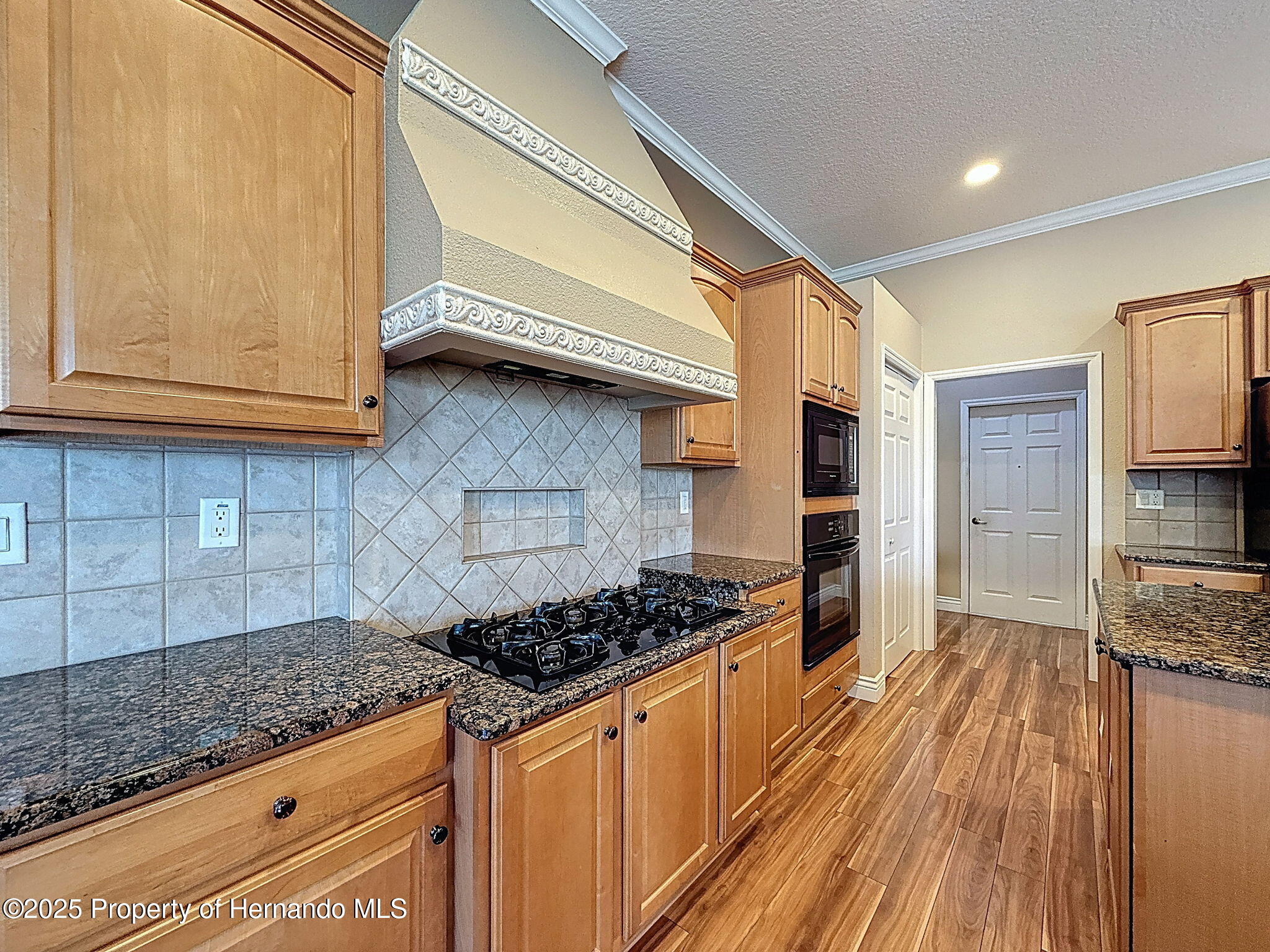 3464 Misty View Drive, Spring Hill, Florida image 12
