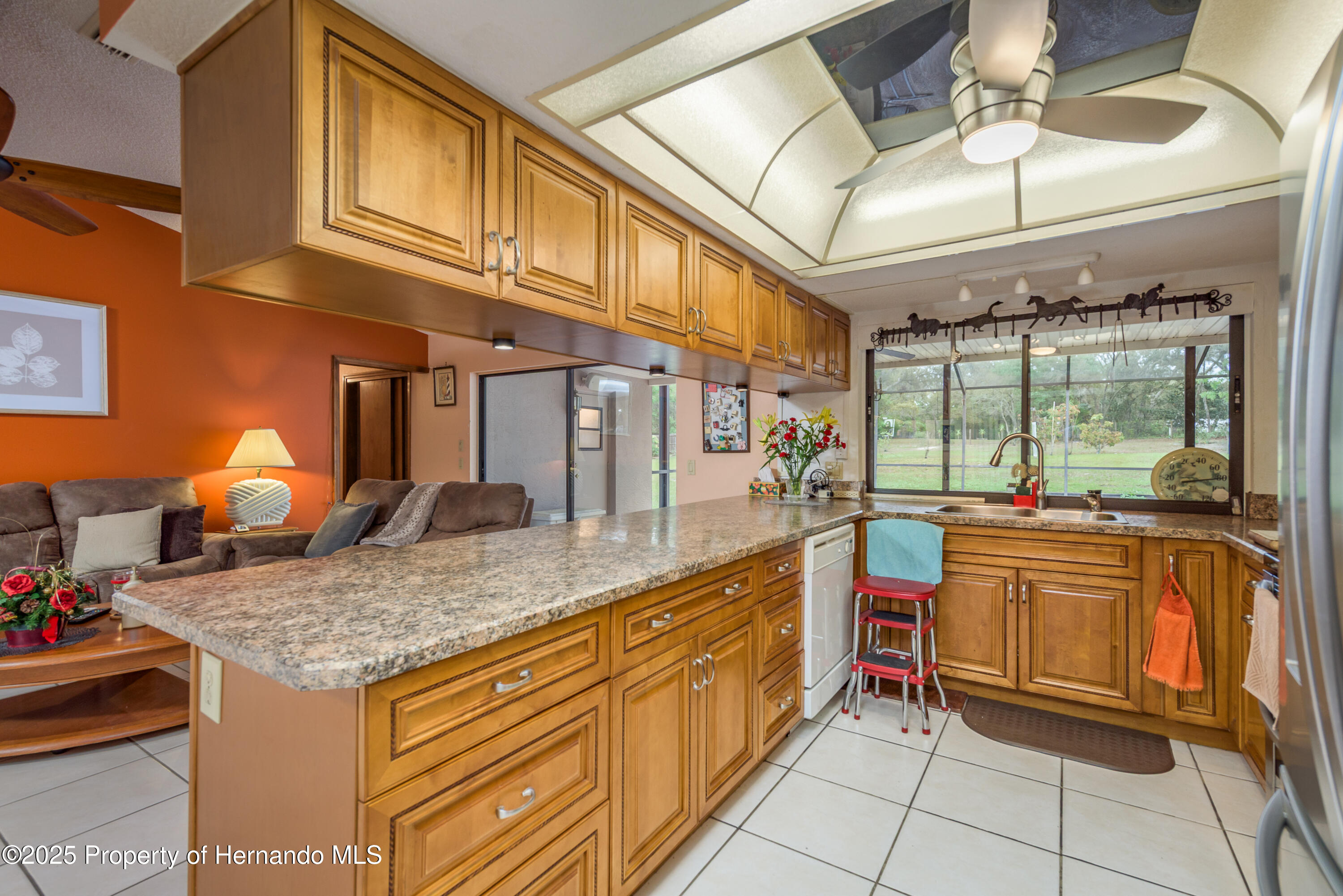 18216 Monteverde Drive, Shady Hills, Florida image 20