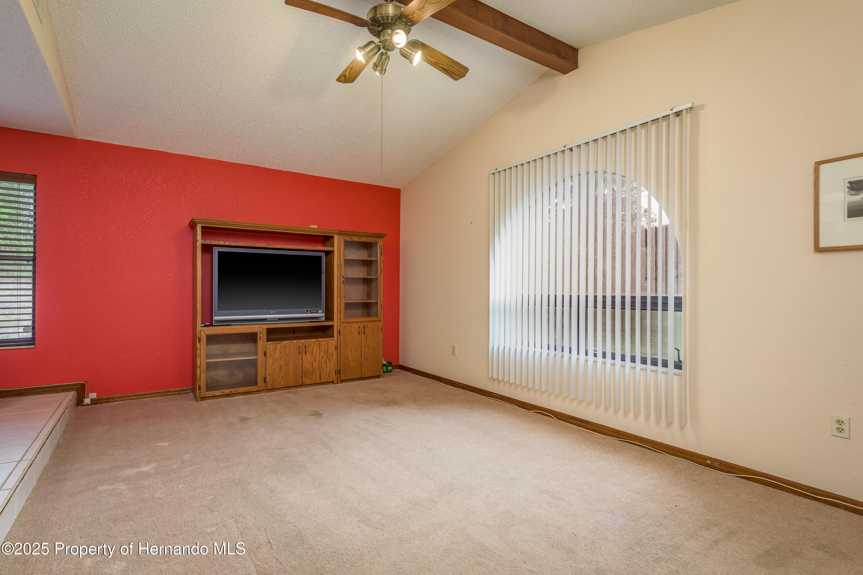 18216 Monteverde Drive, Shady Hills, Florida image 9