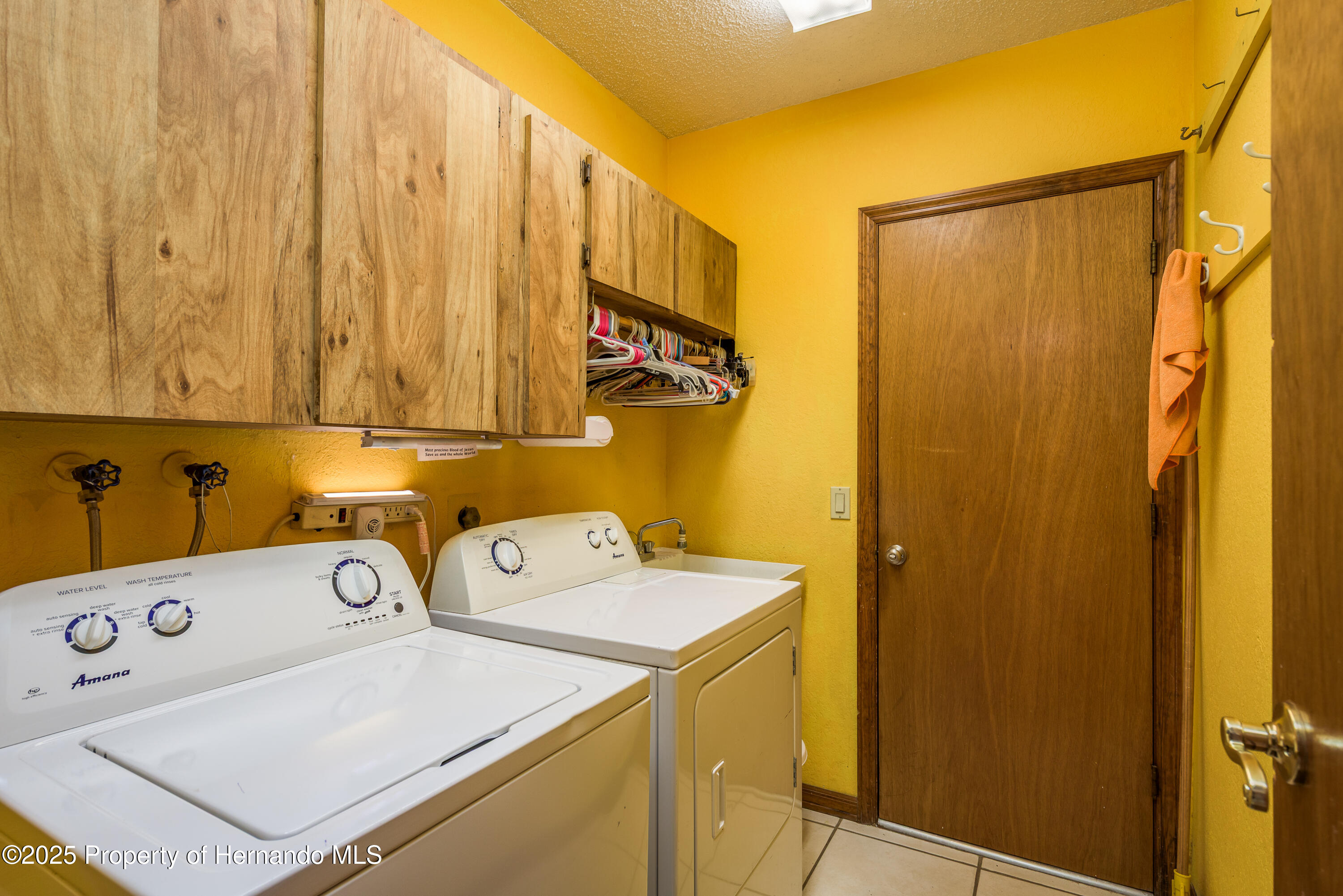 18216 Monteverde Drive, Shady Hills, Florida image 33