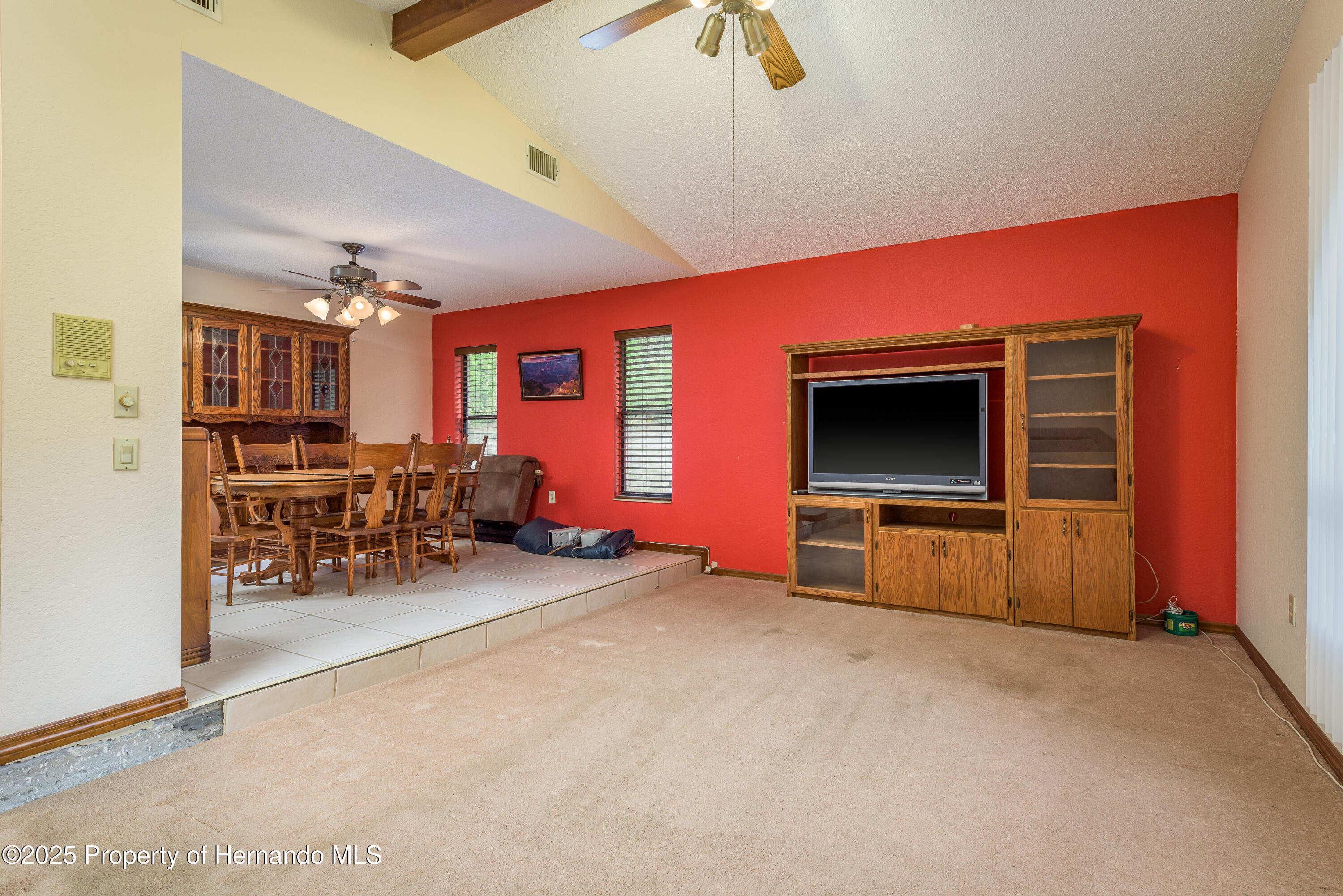 18216 Monteverde Drive, Shady Hills, Florida image 10