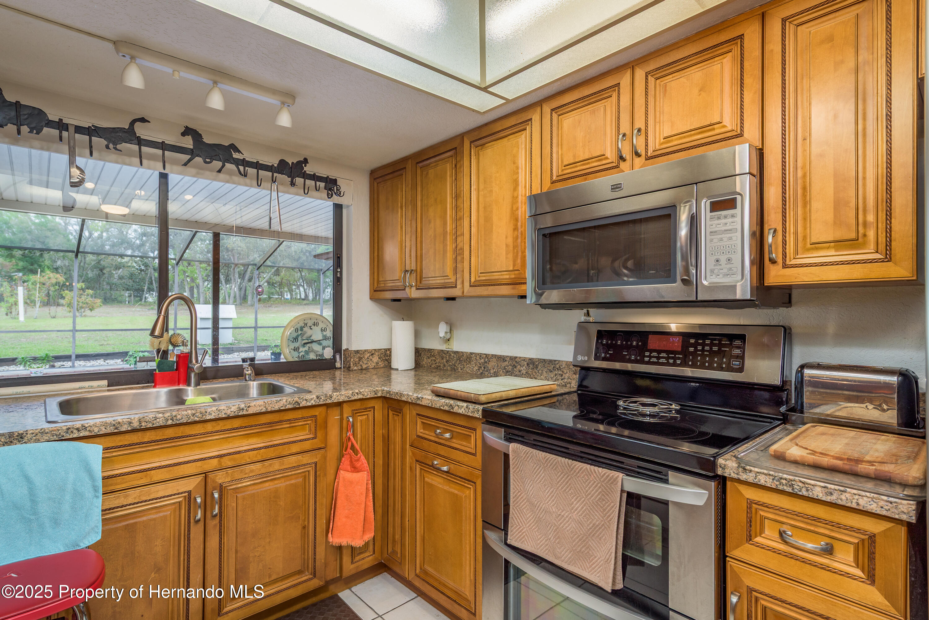 18216 Monteverde Drive, Shady Hills, Florida image 21