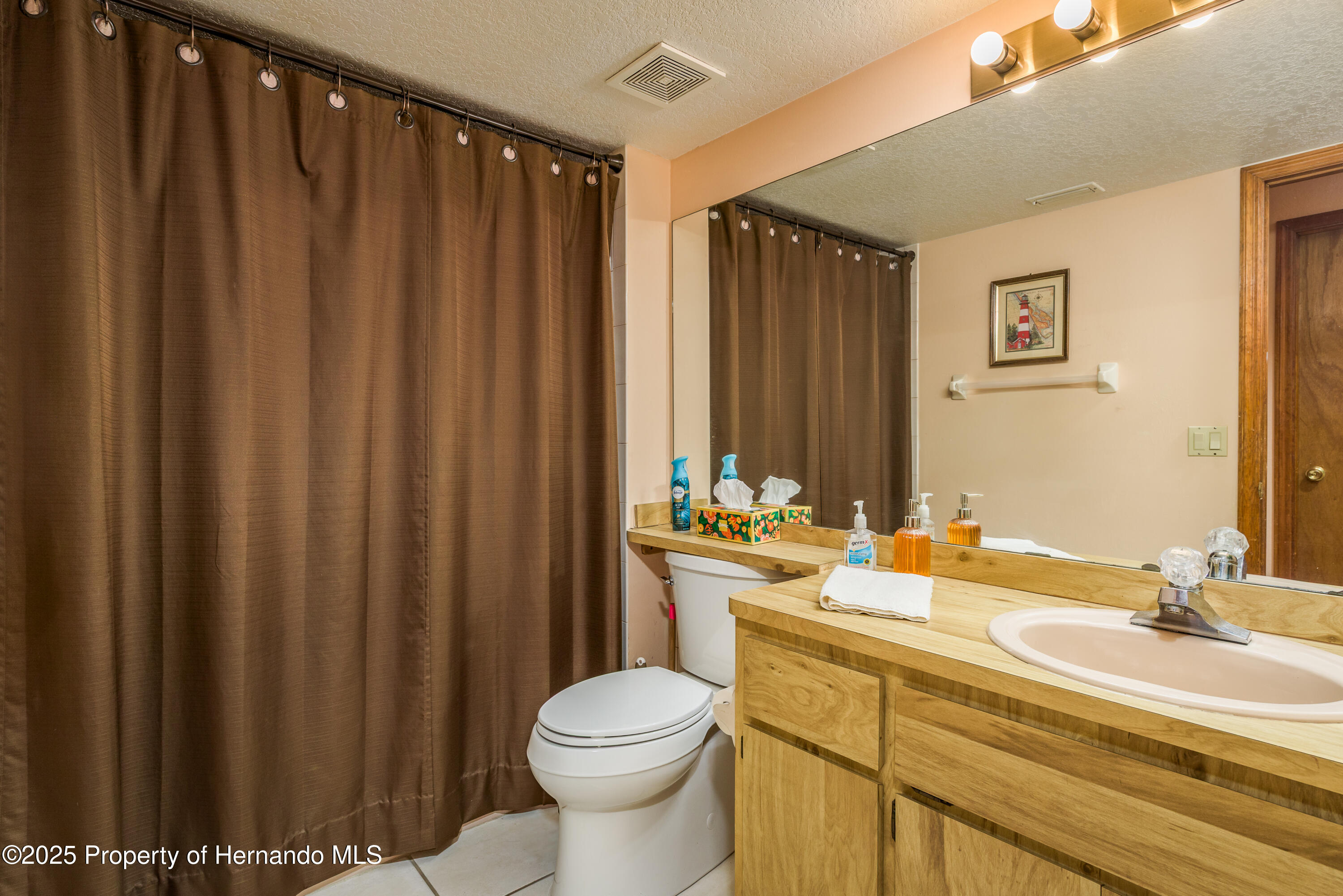 18216 Monteverde Drive, Shady Hills, Florida image 29