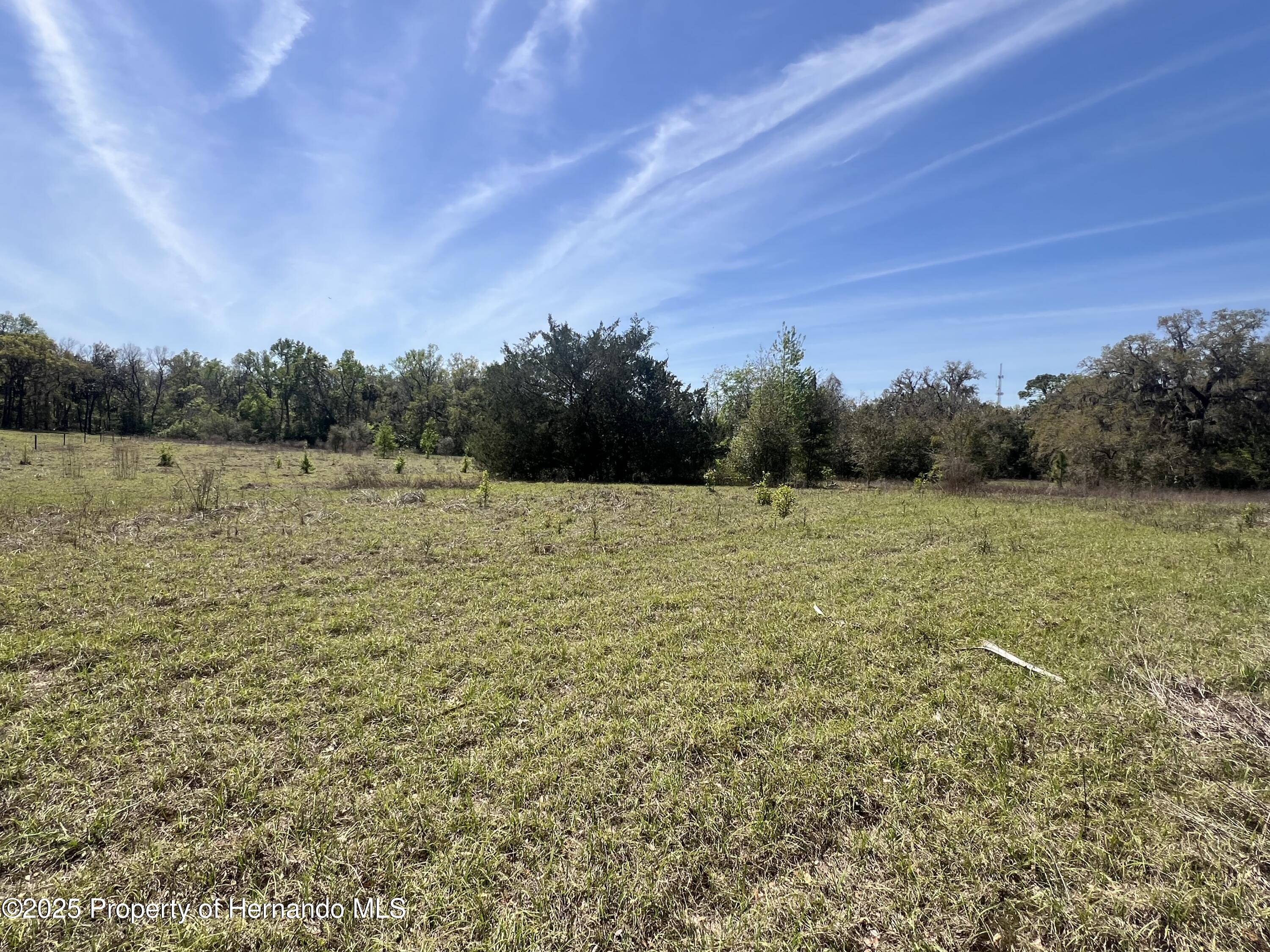 15218 Norris Bishop Loop, Brooksville, Florida image 2