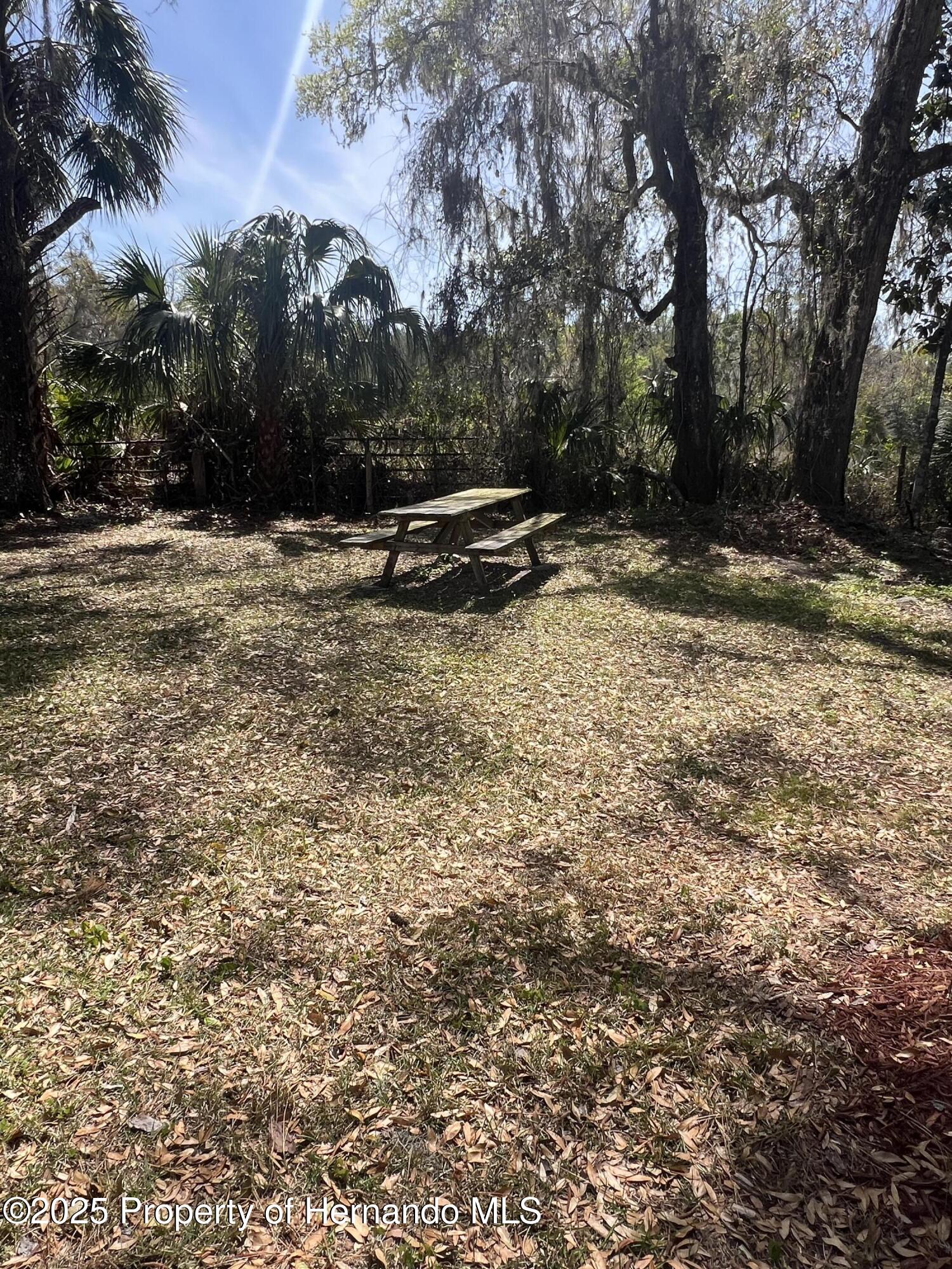 15218 Norris Bishop Loop, Brooksville, Florida image 13