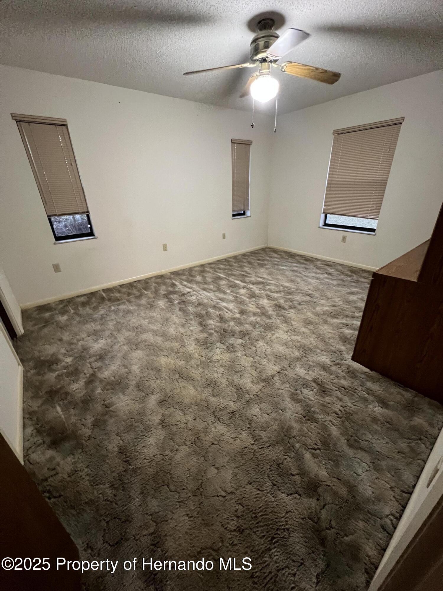 15218 Norris Bishop Loop, Brooksville, Florida image 6