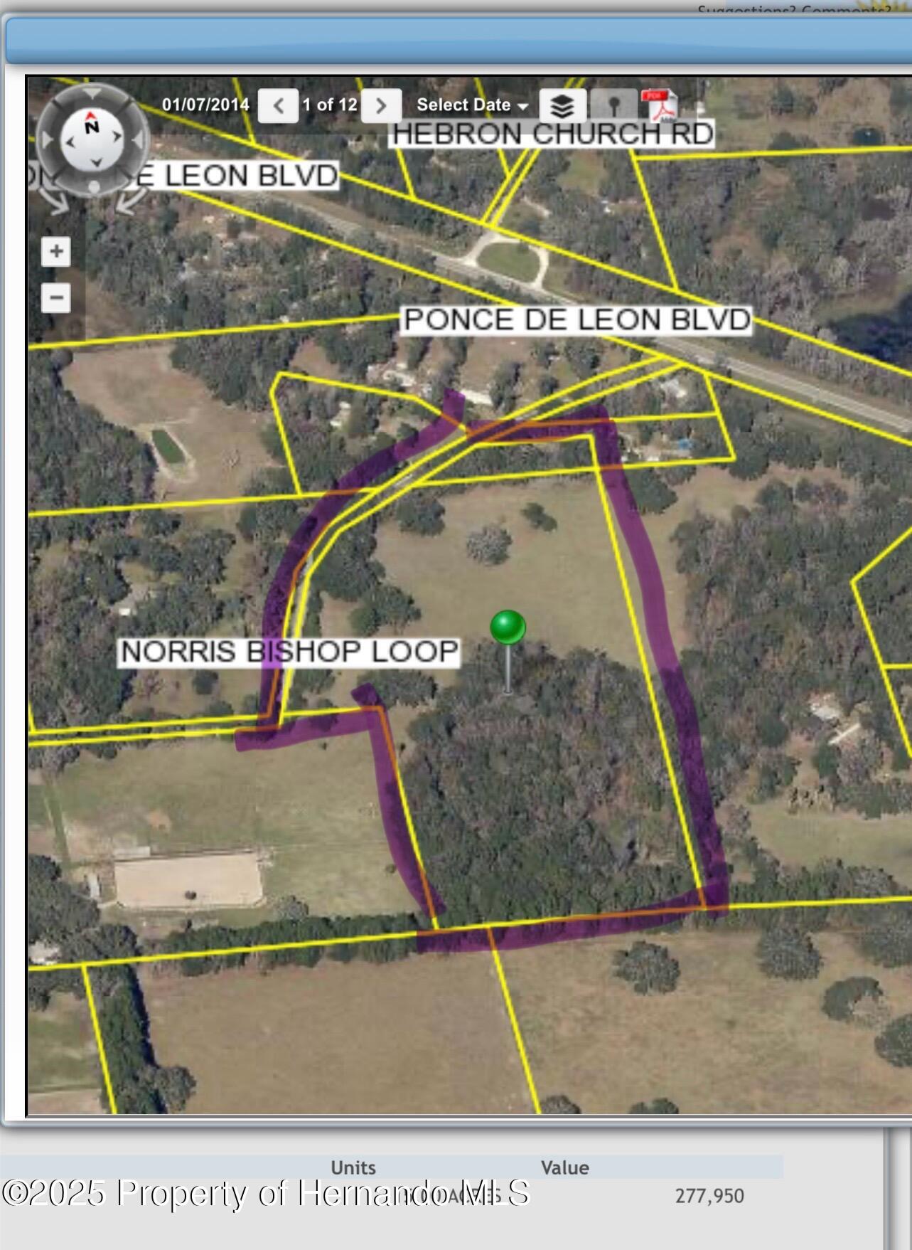 15218 Norris Bishop Loop, Brooksville, Florida image 17