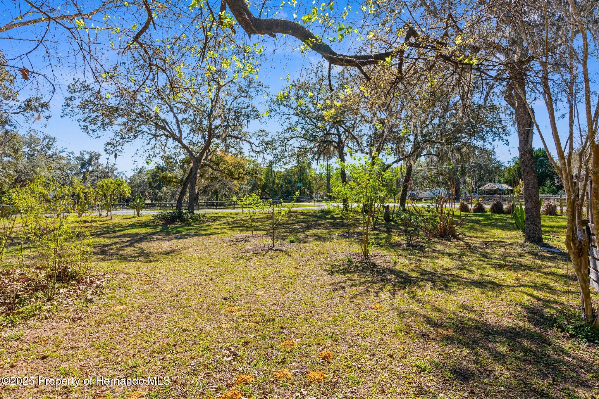 3565 N Page Avenue, Hernando, Florida image 28