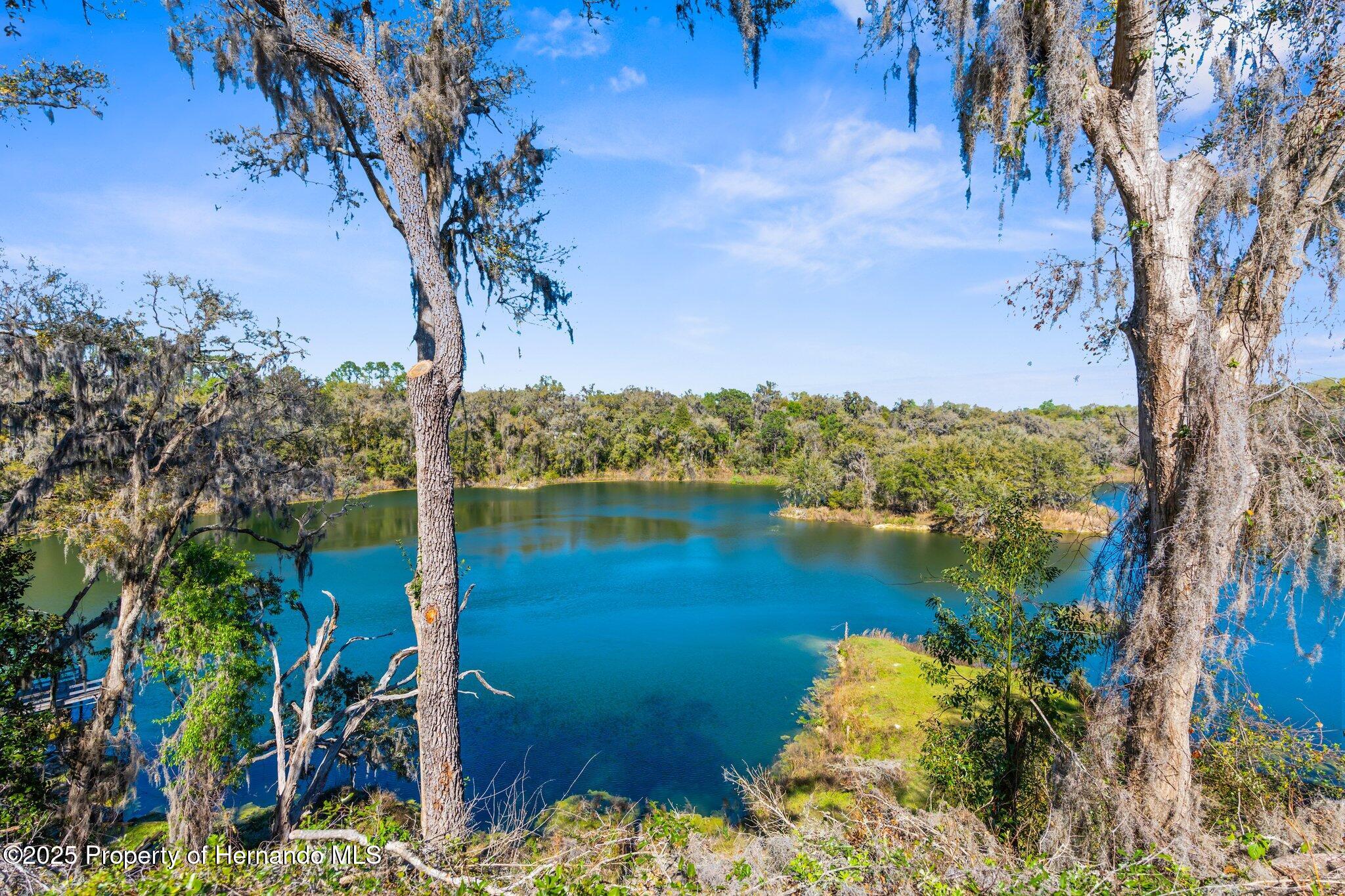 3565 N Page Avenue, Hernando, Florida image 4