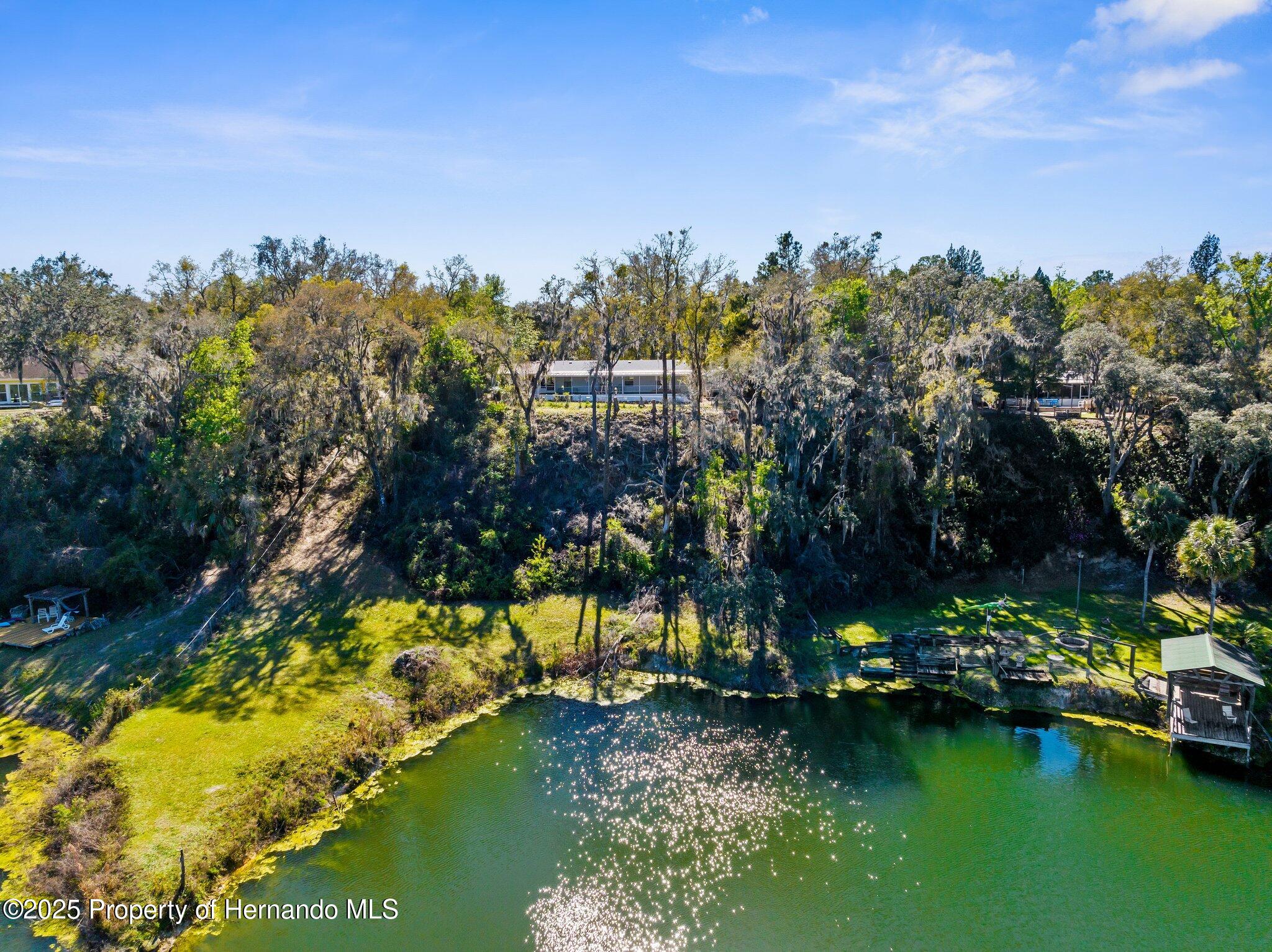 3565 N Page Avenue, Hernando, Florida image 1