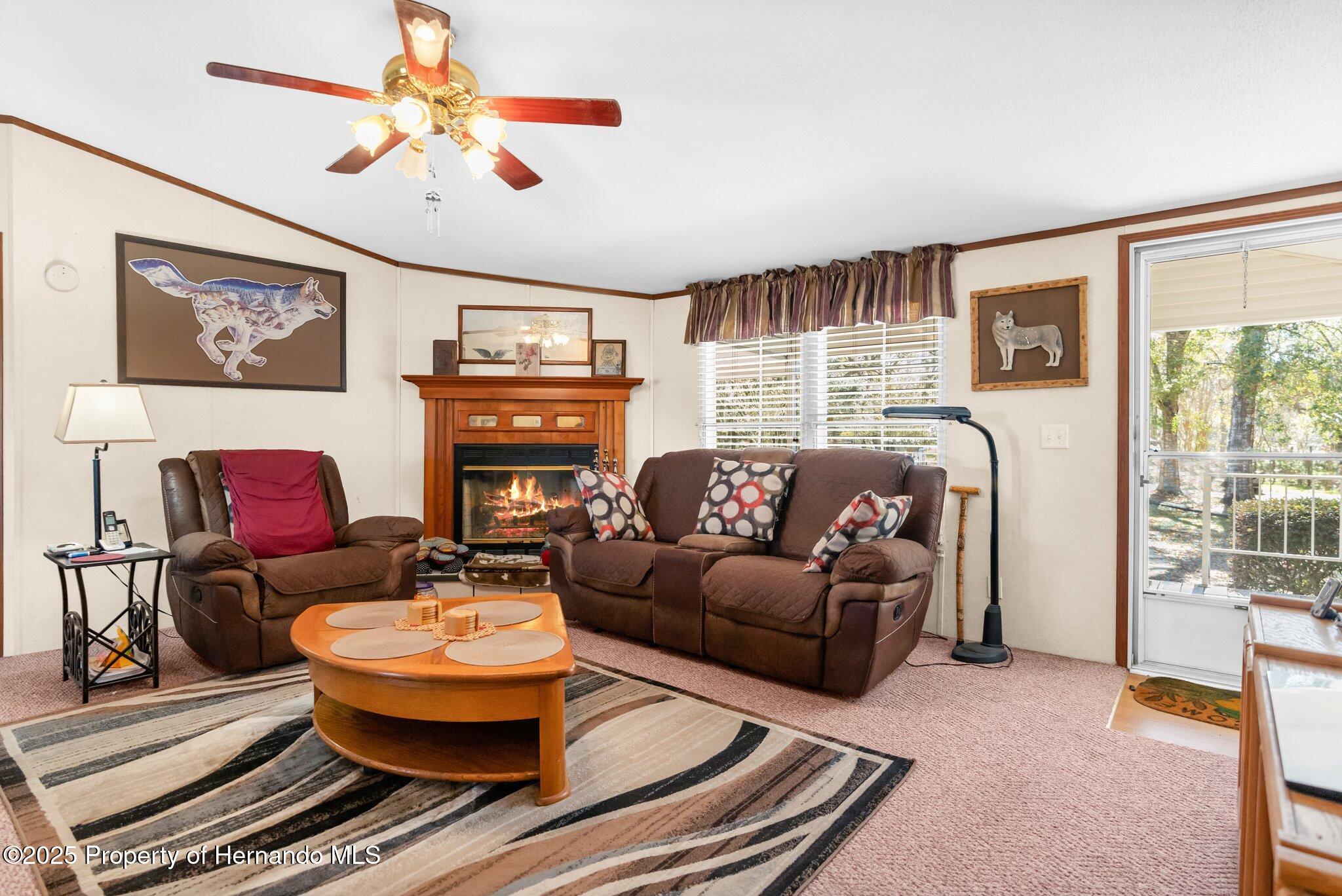 3565 N Page Avenue, Hernando, Florida image 34