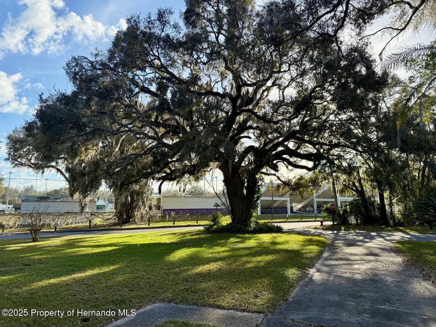 301 Longwood Drive, Brooksville, Florida image 6