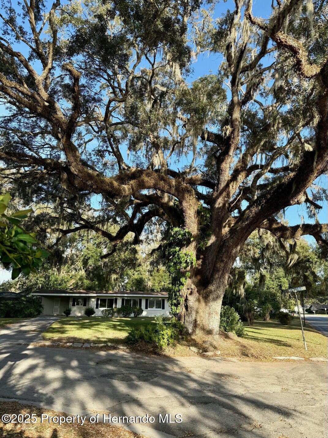 301 Longwood Drive, Brooksville, Florida image 31