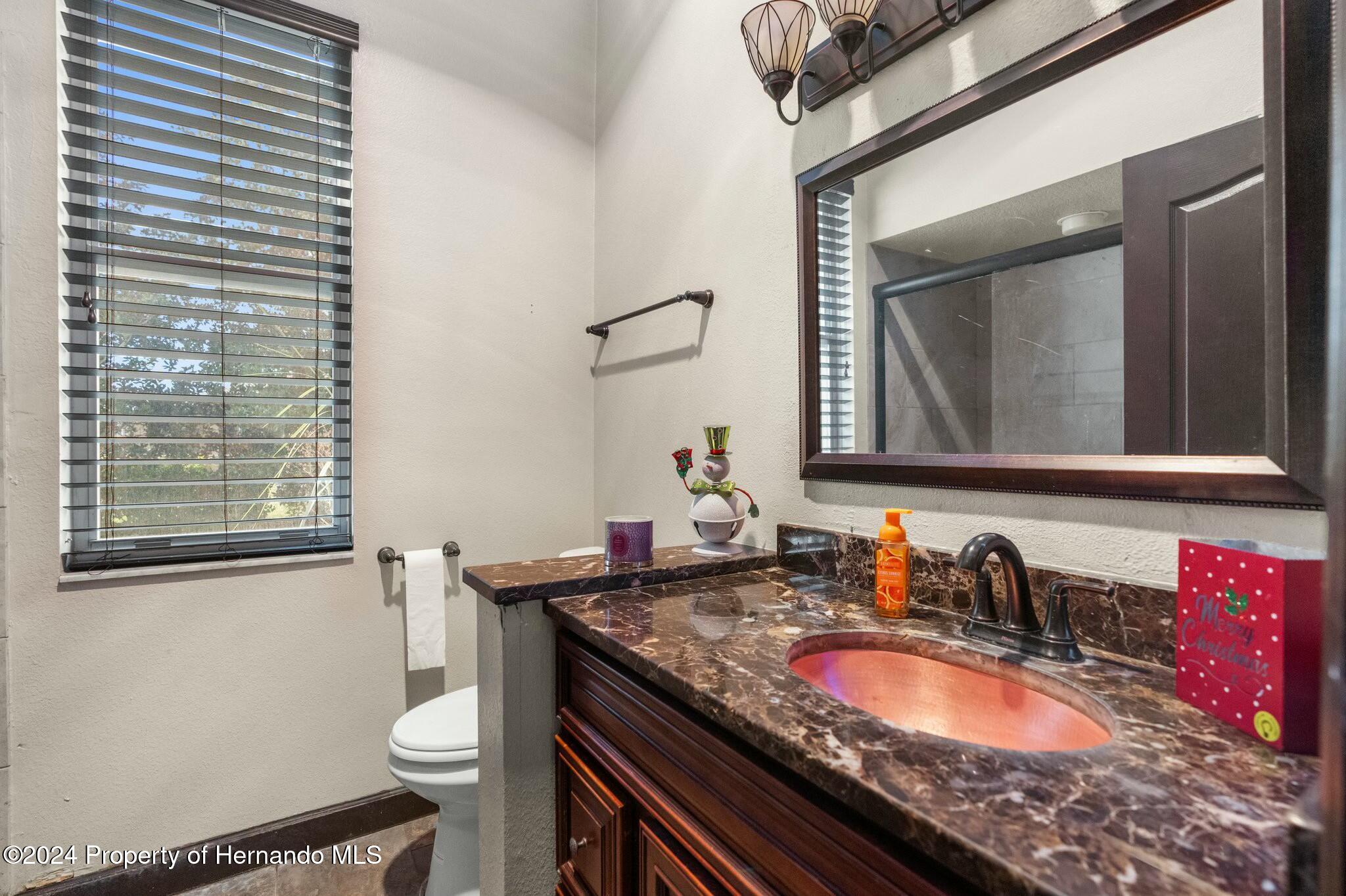 14101 Andrew Scott Road, Spring Hill, Florida image 30