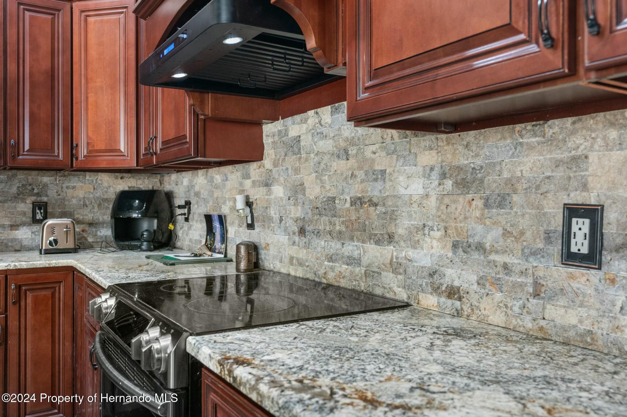 14101 Andrew Scott Road, Spring Hill, Florida image 24