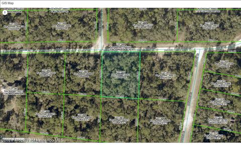 Vacant Land For Sale - Haas Drive<br/> Webster, FL 33597