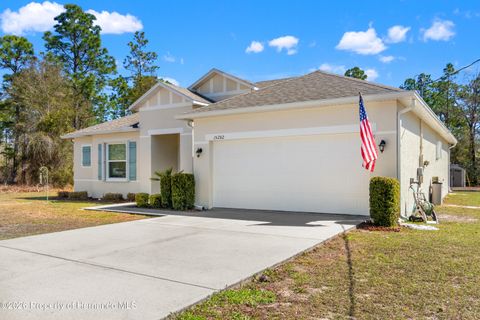 Homes For Sale - 15282 Coot Road<br/> Brooksville, FL 34614