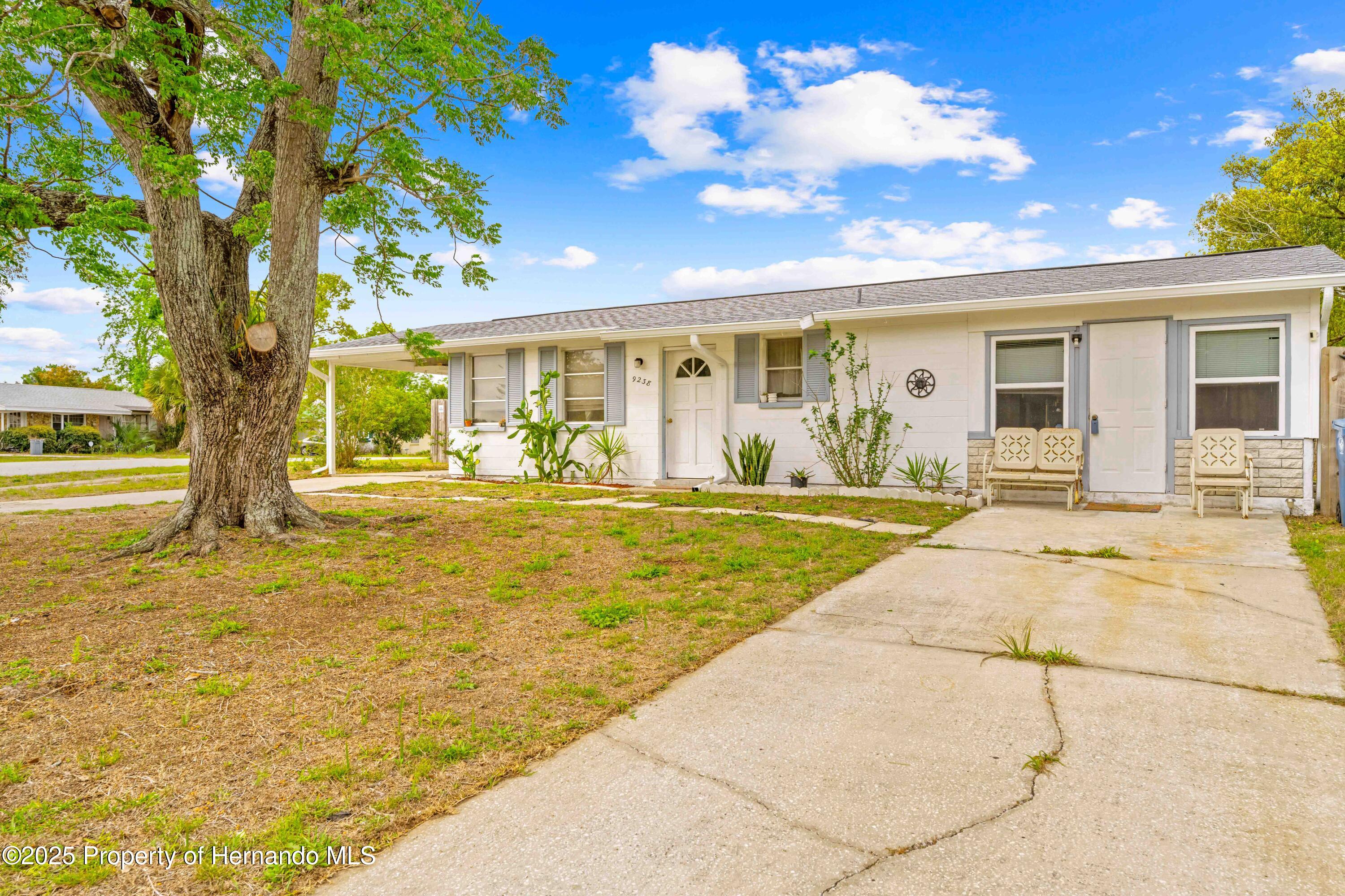 9238 Century Drive, Spring Hill, Florida image 3