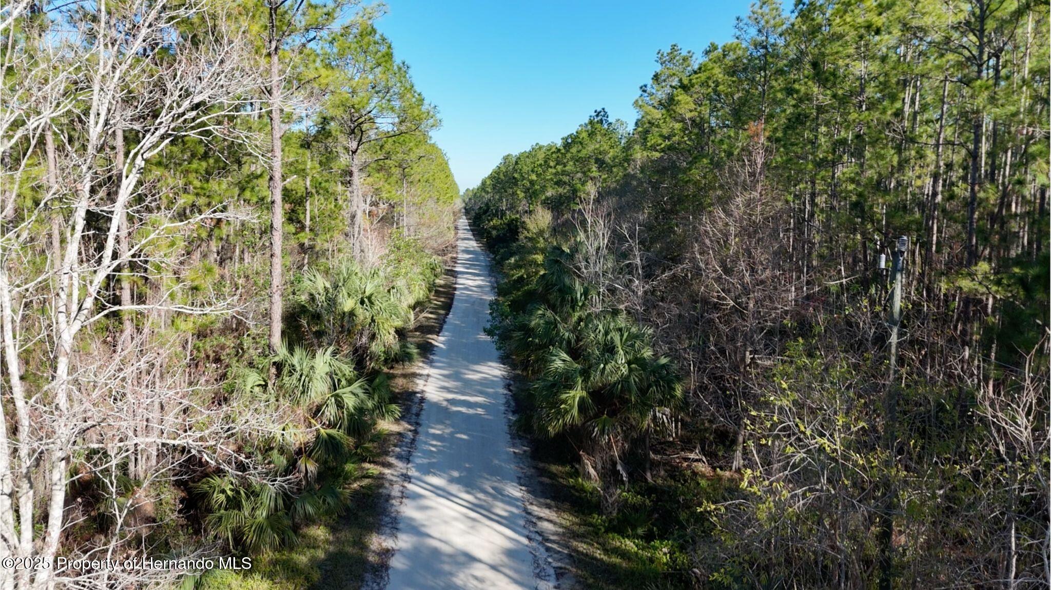 Old Train Road, New Smyrna Beach, Florida image 4
