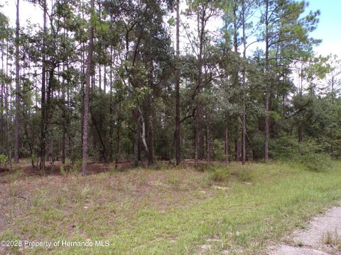 Vacant Land For Sale - 601 E Marquette Lane<br/> Citrus Springs, FL 34434