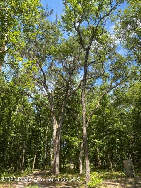 Vacant Land For Sale - Snow Memorial Highway<br/> Brooksville, FL 34601