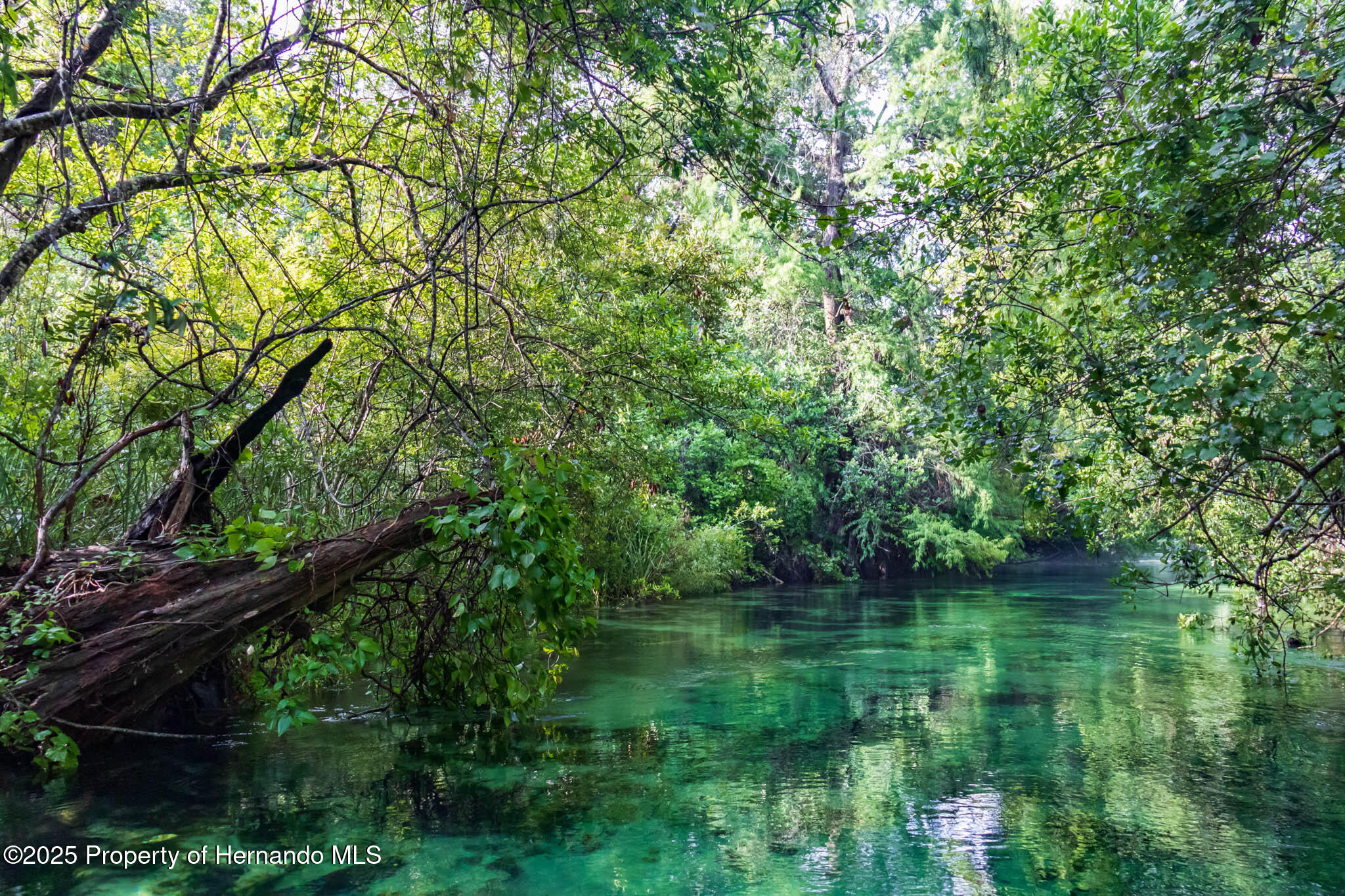 6448-2 W Richard Drive, Weeki Wachee, Florida image 22