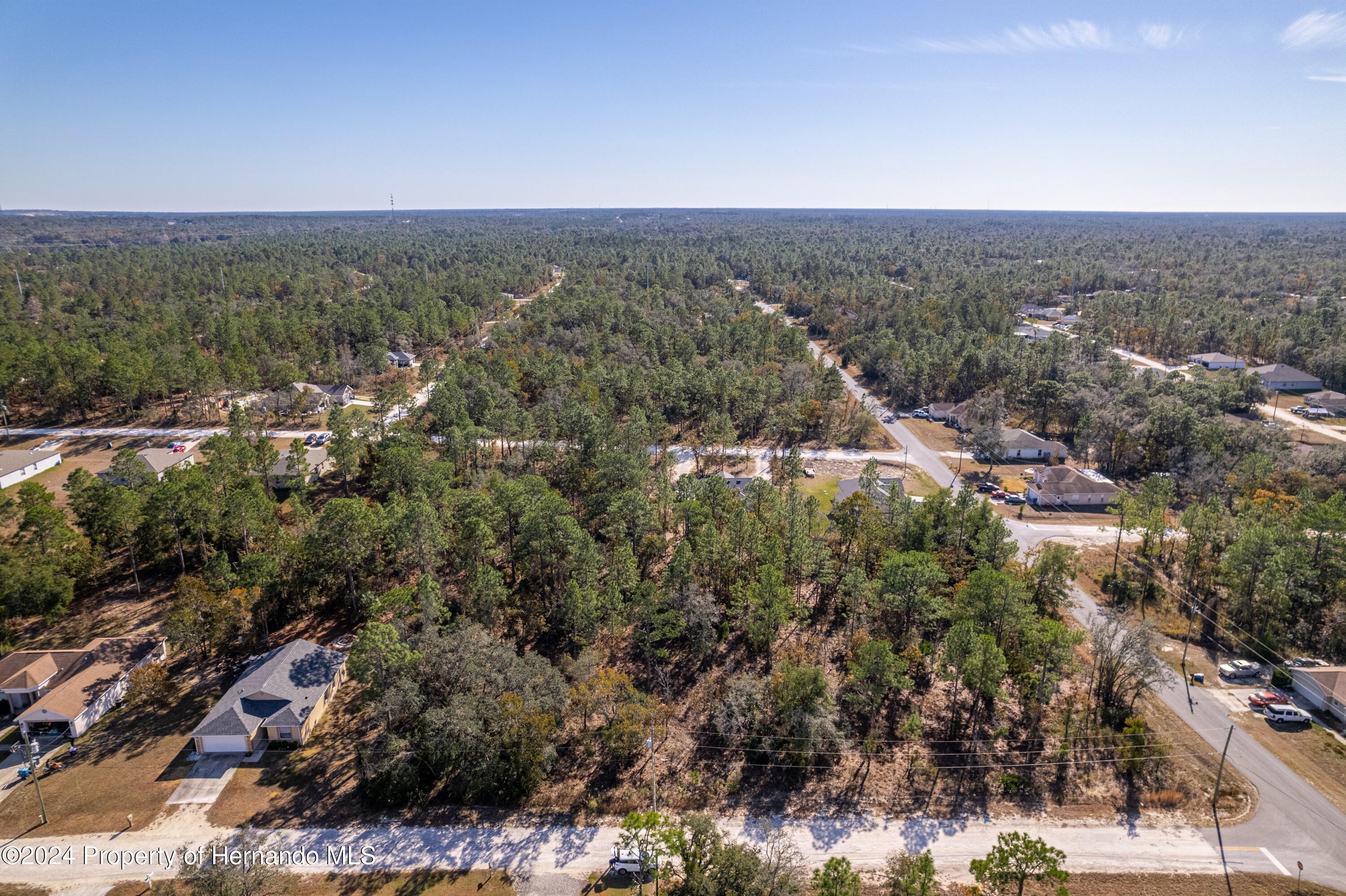 English Fir (lot 2) Court, Brooksville, Florida image 5