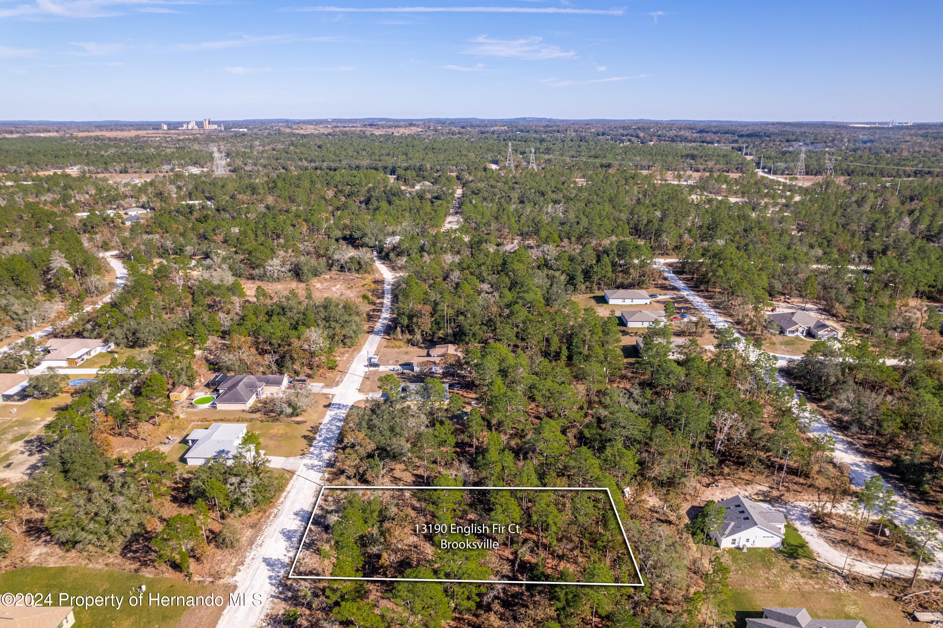 English Fir (lot 2) Court, Brooksville, Florida image 4