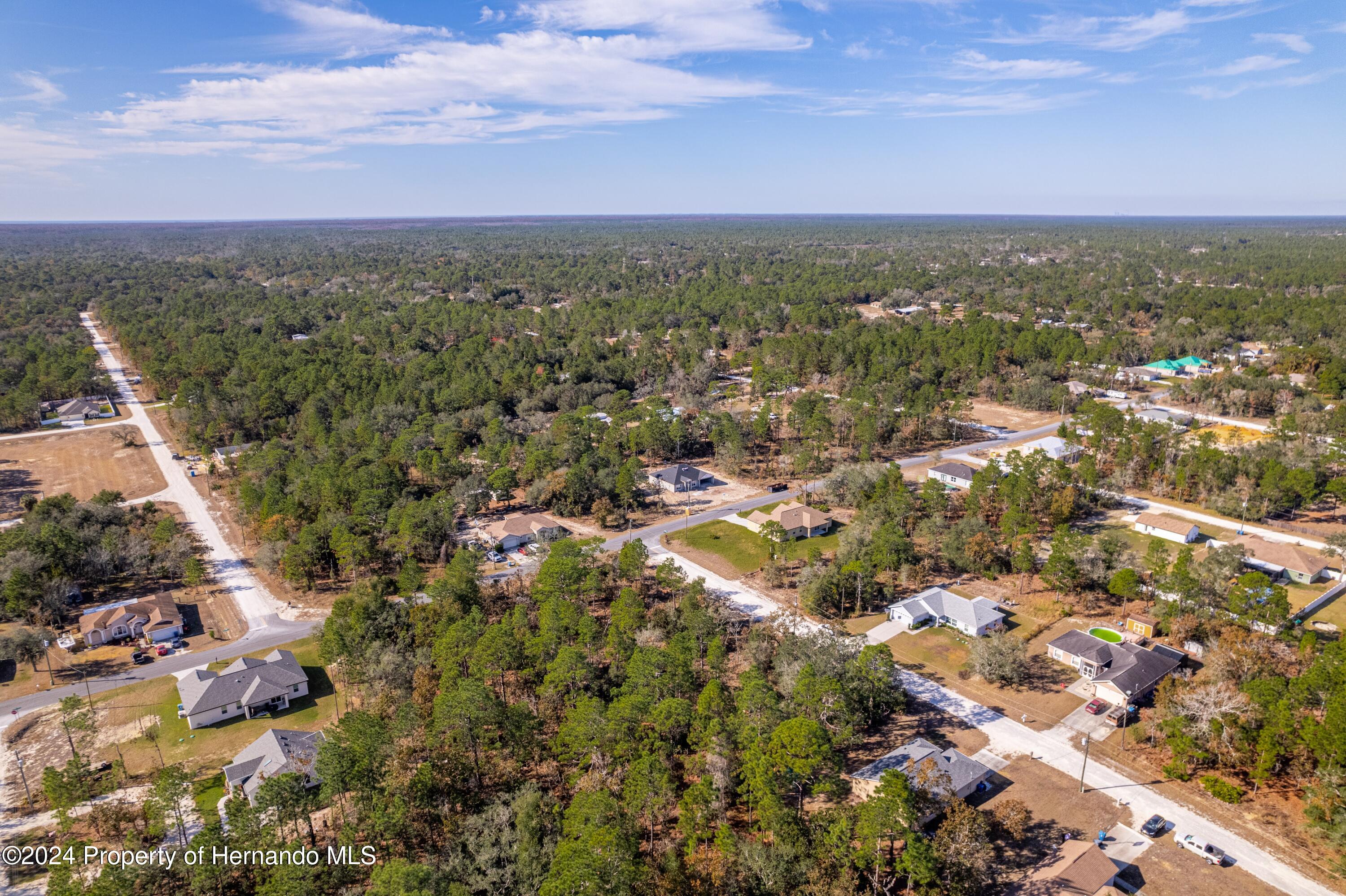 English Fir (lot 2) Court, Brooksville, Florida image 8