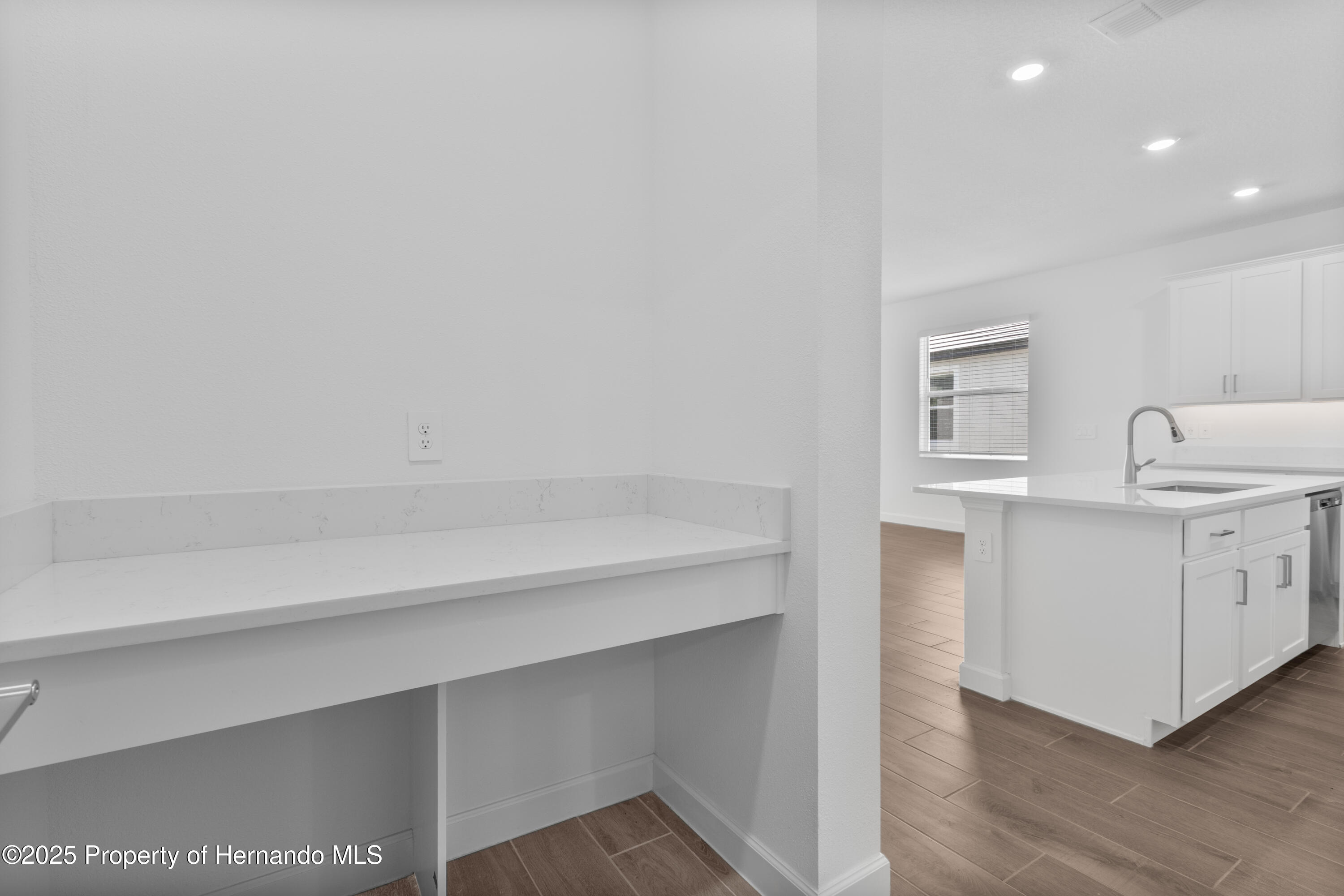 9656 Minnow Ray Drive, LAND O LAKES, Florida image 14