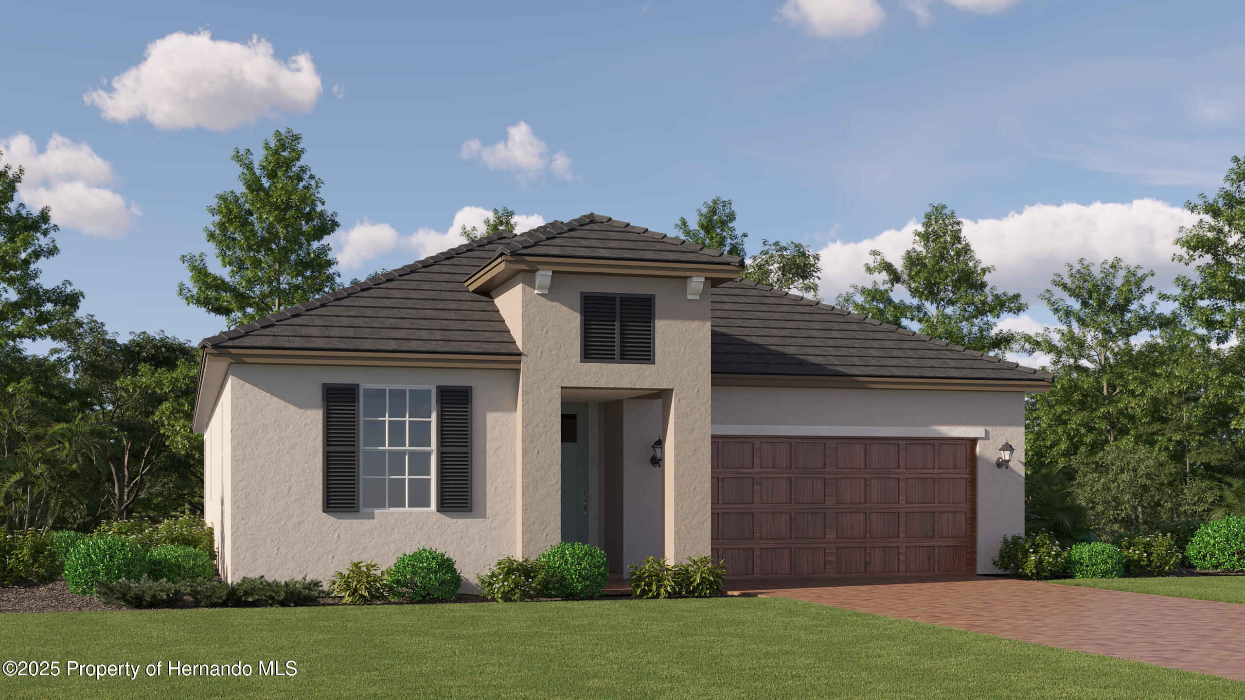 9656 Minnow Ray Drive, LAND O LAKES, Florida image 2
