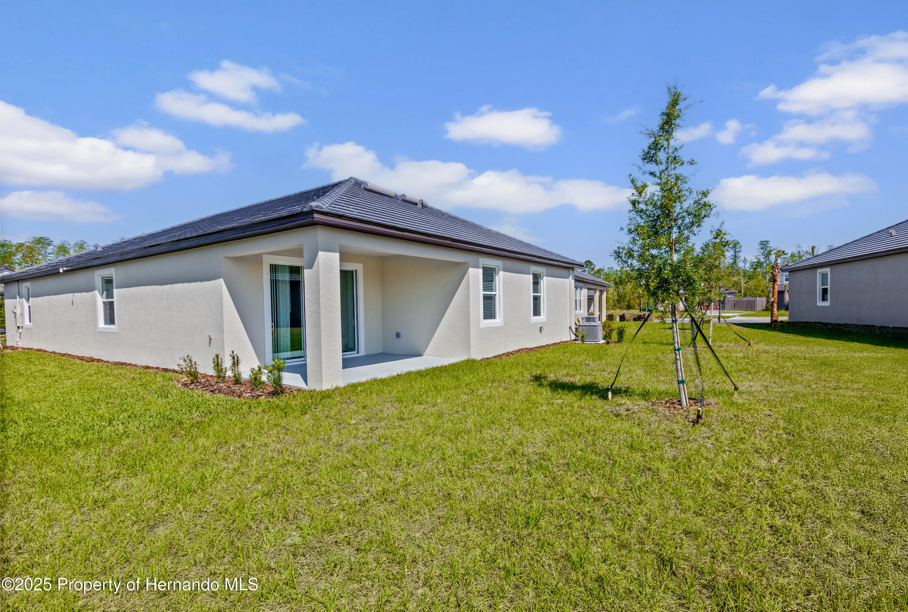 9656 Minnow Ray Drive, LAND O LAKES, Florida image 11