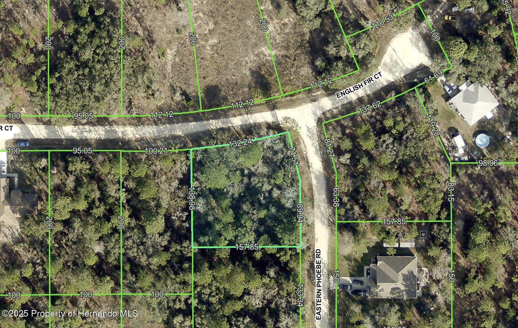English Fir Court, Weeki Wachee, Florida image 1