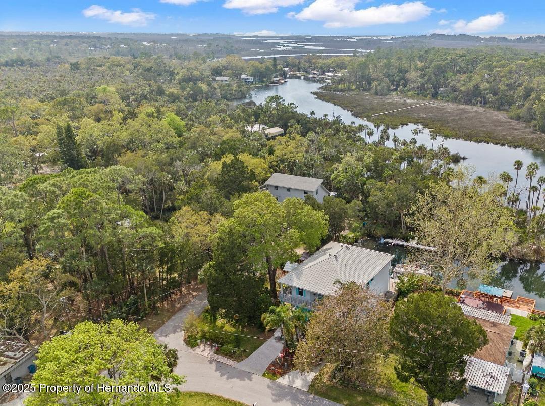 8117 River Point Drive, Weeki Wachee, Florida image 5