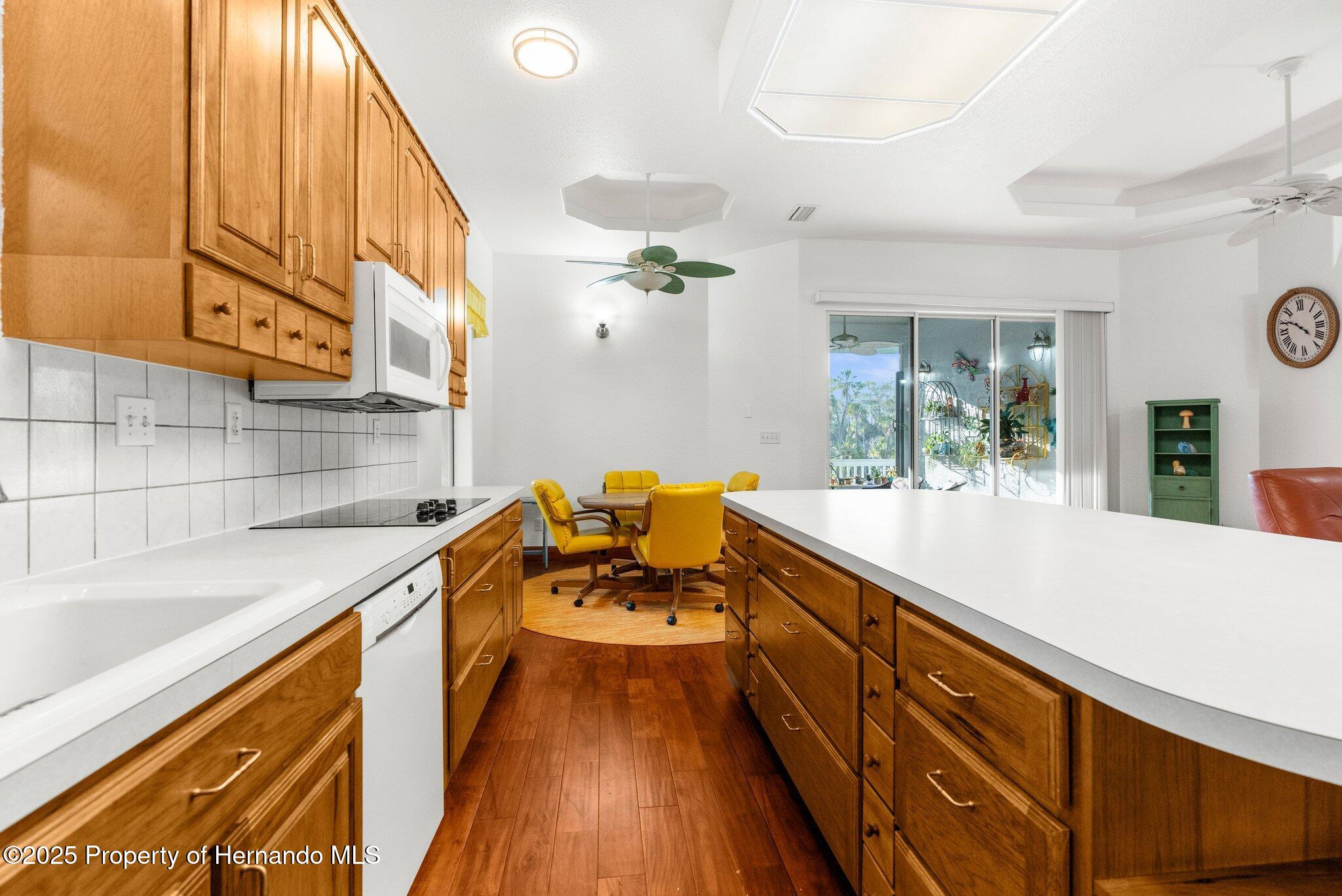 8117 River Point Drive, Weeki Wachee, Florida image 8