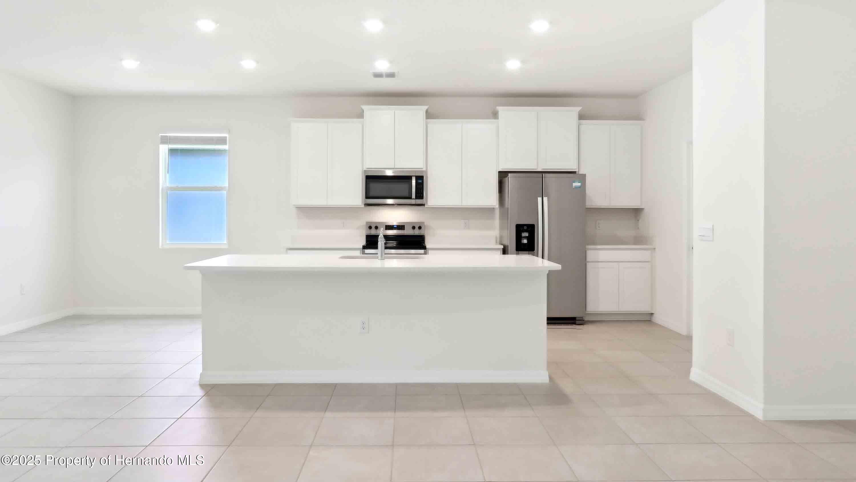 11282 Curio Drive, Brooksville, Florida image 11