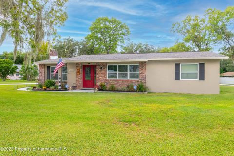 Homes For Sale - 12410 Coronado Drive<br/> Spring Hill, FL 34609