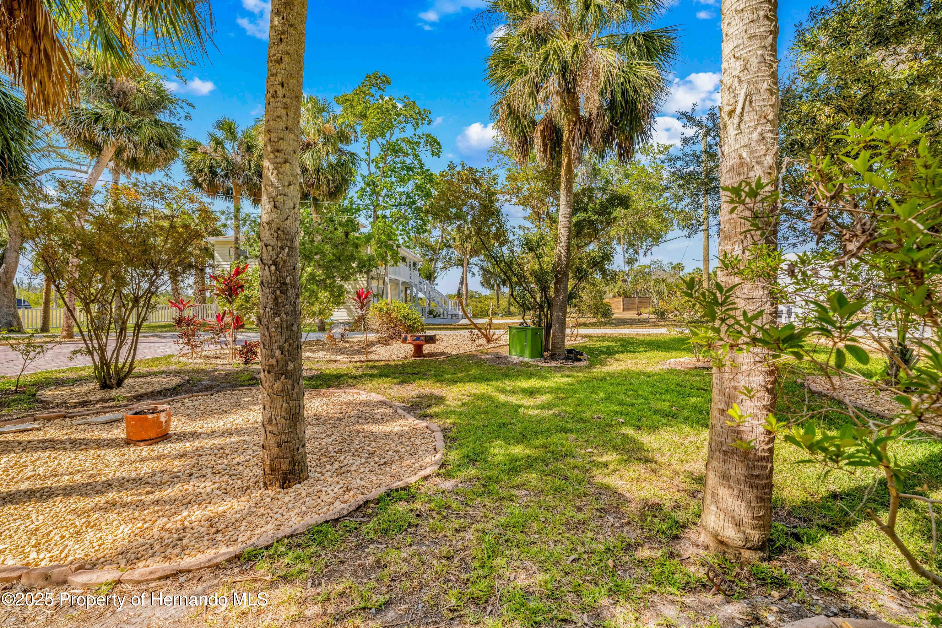 8711 Betty Street, Port Richey, Florida image 4