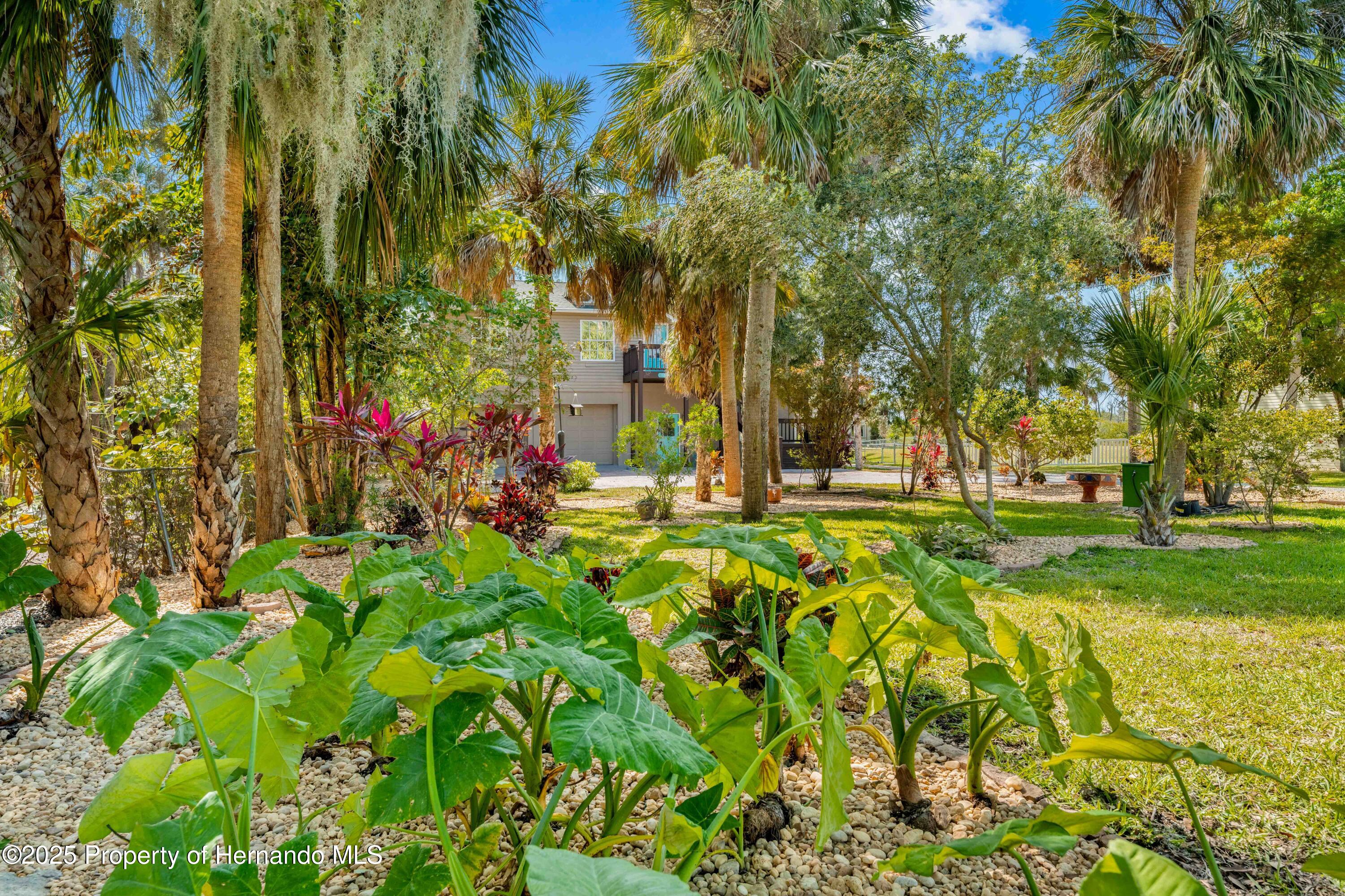 8711 Betty Street, Port Richey, Florida image 2