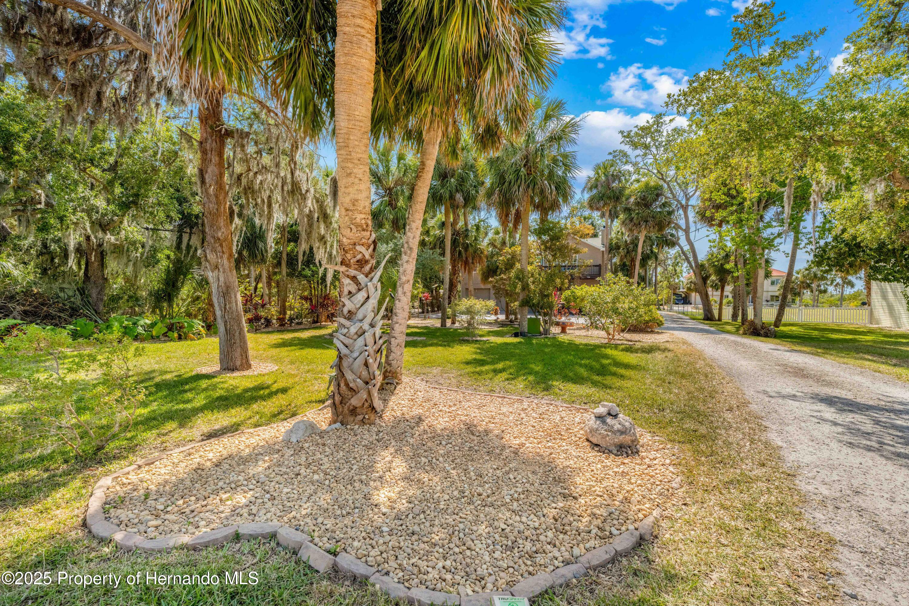 8711 Betty Street, Port Richey, Florida image 3