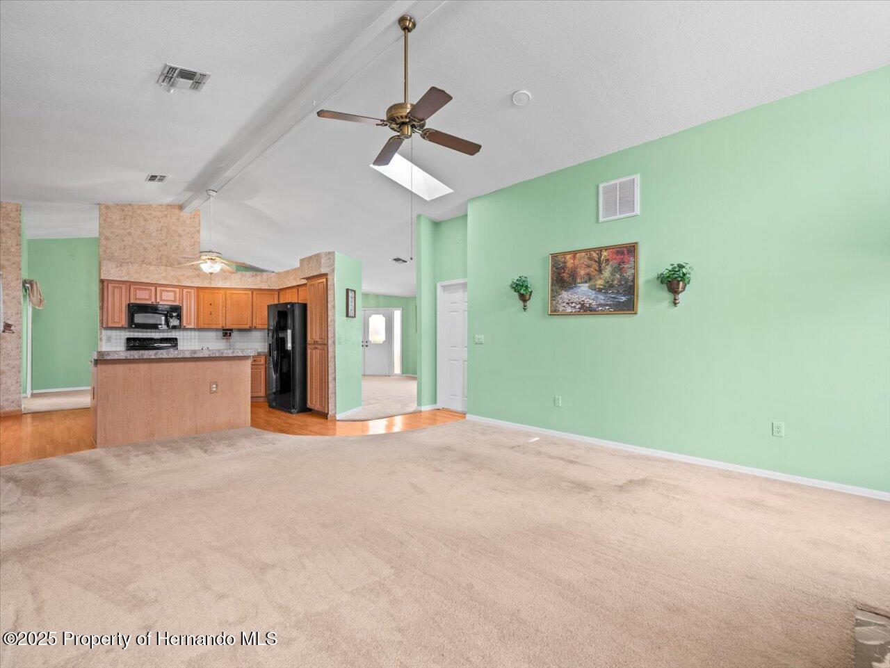 10442 Ventura Drive, Spring Hill, Florida image 22