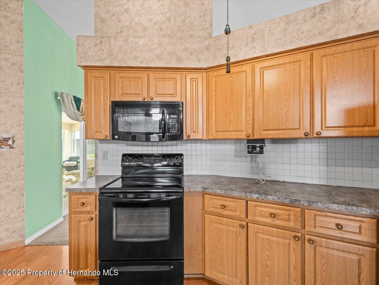 10442 Ventura Drive, Spring Hill, Florida image 29