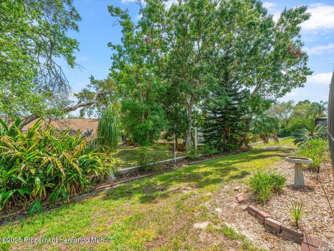 10442 Ventura Drive, Spring Hill, Florida image 46