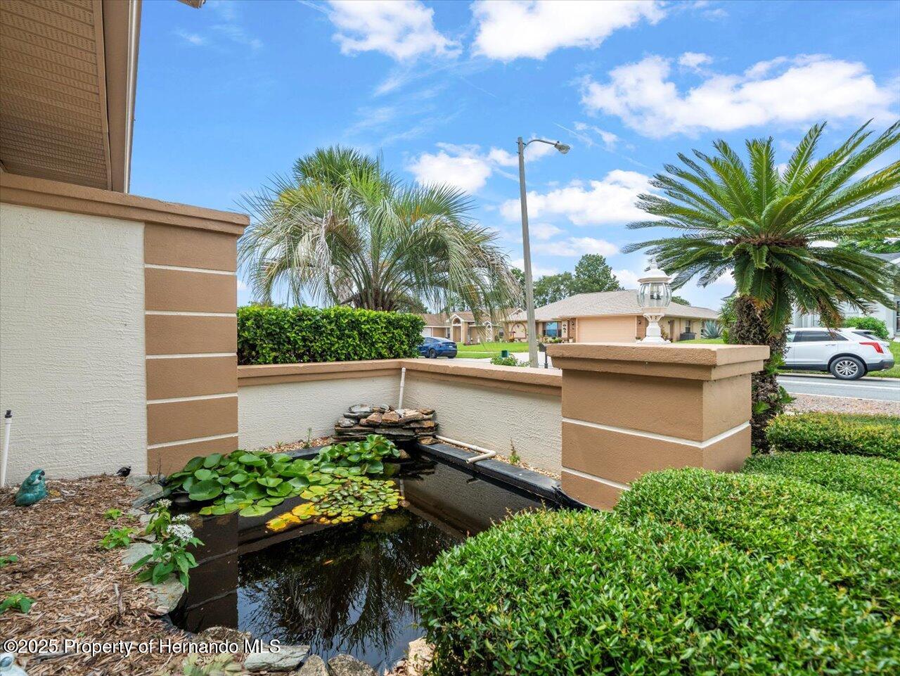 10442 Ventura Drive, Spring Hill, Florida image 4