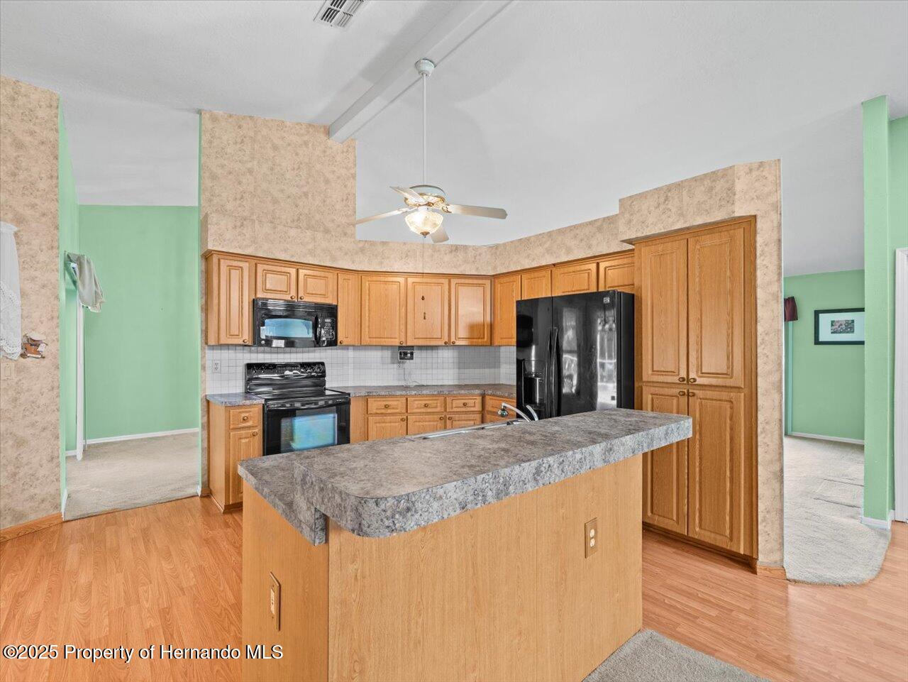10442 Ventura Drive, Spring Hill, Florida image 25