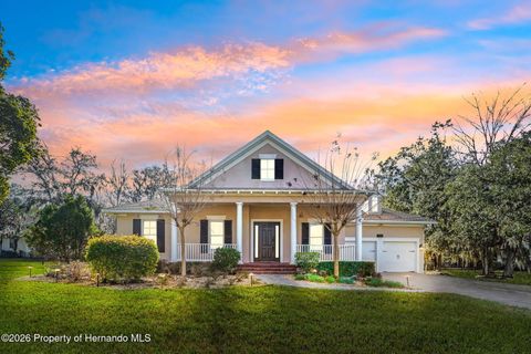 Homes For Sale - 19546 Mossy Oak Court<br/> Brooksville, FL 34601