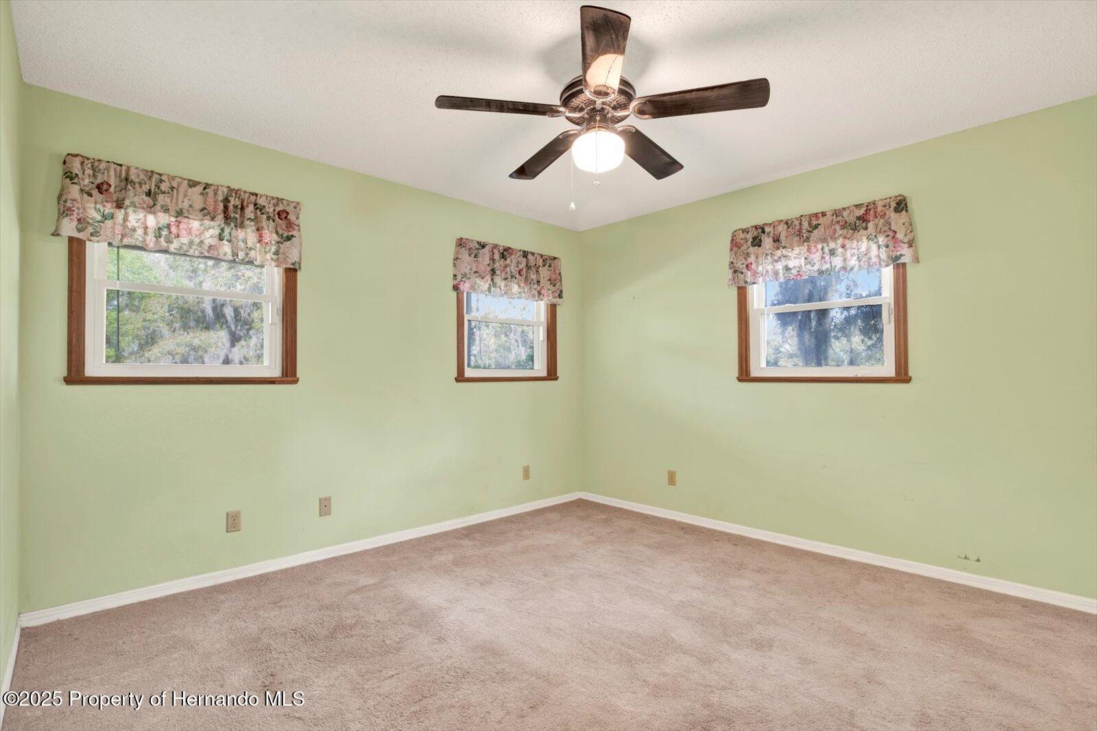 12436 Oregon Road, Weeki Wachee, Florida image 22