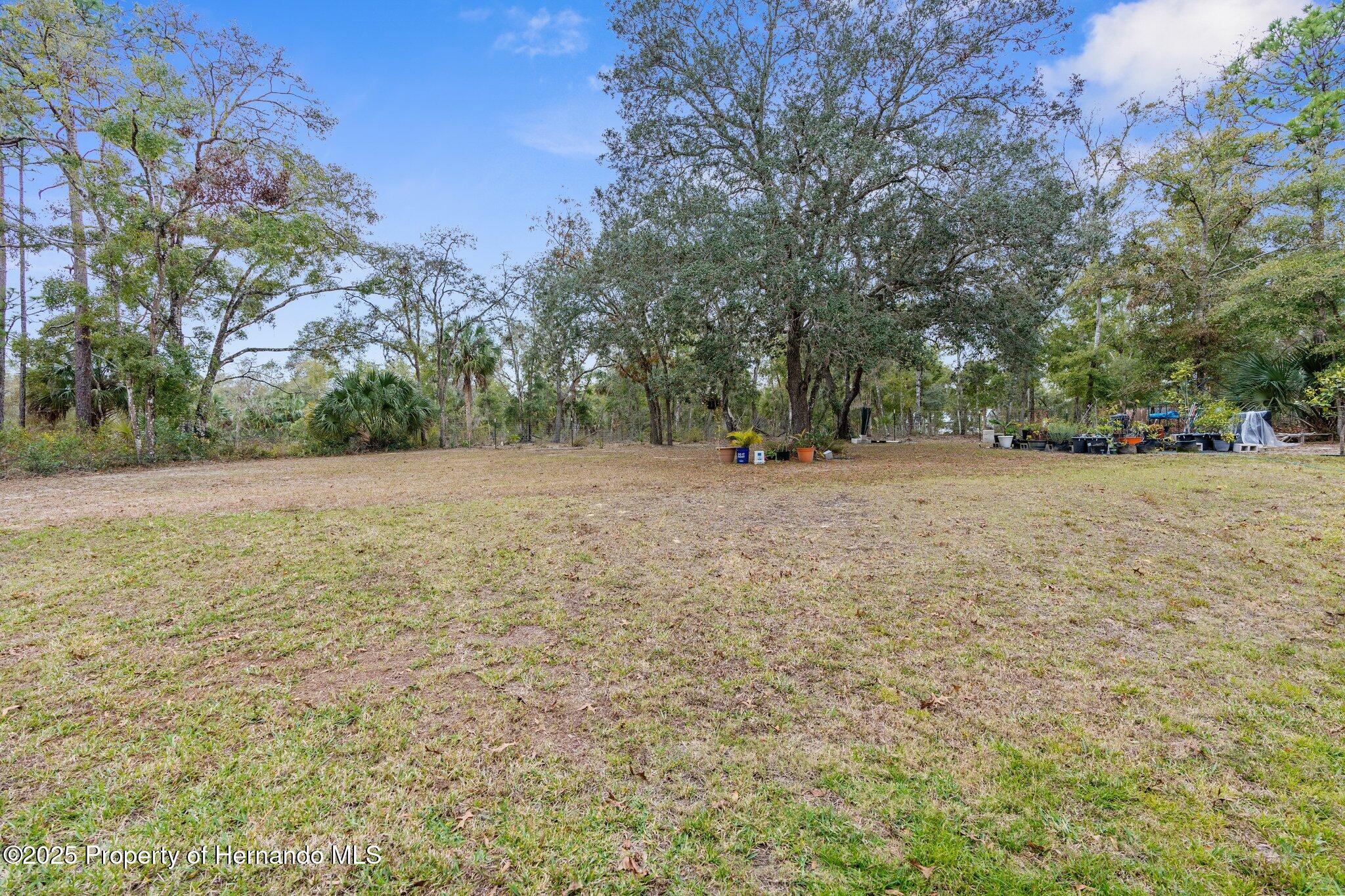 14455 Chimney Swift Road, Weeki Wachee, Florida image 47