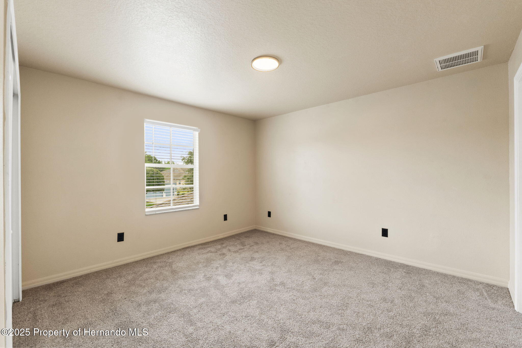 4335 Canongate Court, Spring Hill, Florida image 38
